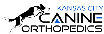 Kansas City Canine Orthopedics Home